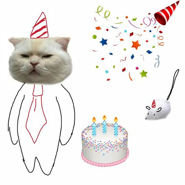 Ai đ&oacute; y&ecirc;u cầu vẽ một con m&egrave;o theo mẫu v&agrave; cư d&acirc;n mạng được dịp chơi tới bến c&ugrave;ng sự s&aacute;ng tạo - Ảnh 4.