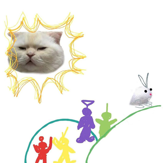 Ai đ&oacute; y&ecirc;u cầu vẽ một con m&egrave;o theo mẫu v&agrave; cư d&acirc;n mạng được dịp chơi tới bến c&ugrave;ng sự s&aacute;ng tạo - Ảnh 6.