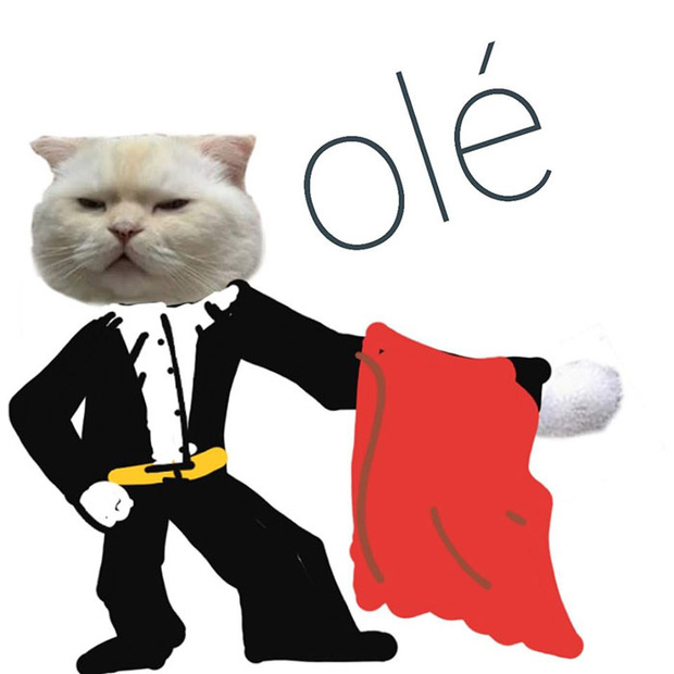 Ai đ&oacute; y&ecirc;u cầu vẽ một con m&egrave;o theo mẫu v&agrave; cư d&acirc;n mạng được dịp chơi tới bến c&ugrave;ng sự s&aacute;ng tạo - Ảnh 7.