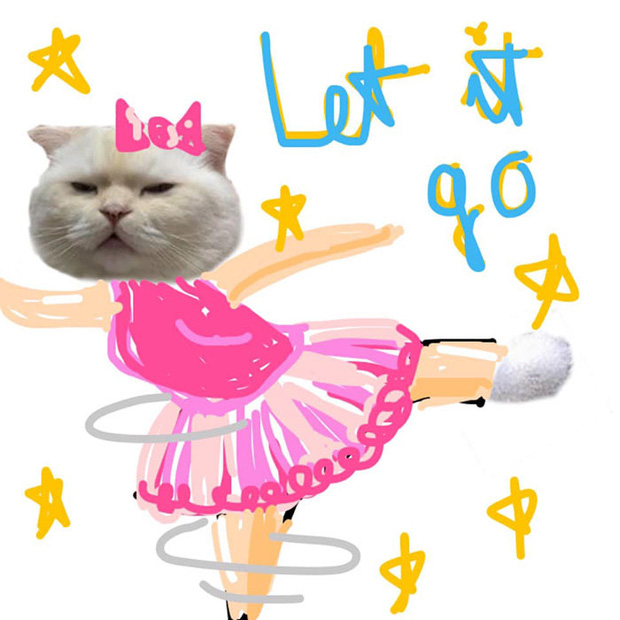 Ai đ&oacute; y&ecirc;u cầu vẽ một con m&egrave;o theo mẫu v&agrave; cư d&acirc;n mạng được dịp chơi tới bến c&ugrave;ng sự s&aacute;ng tạo - Ảnh 8.