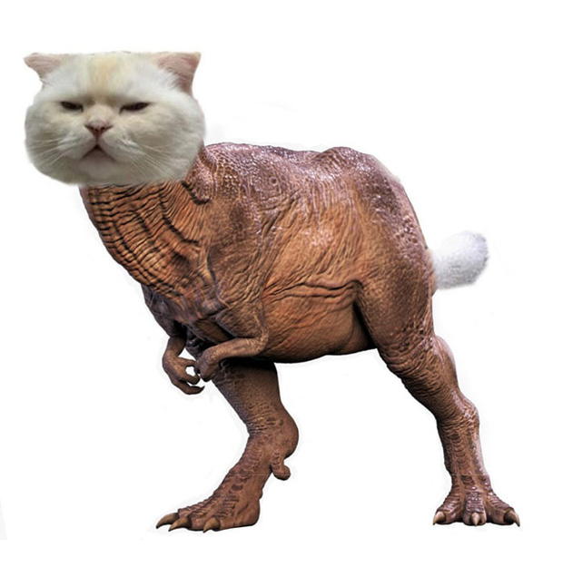 Ai đ&oacute; y&ecirc;u cầu vẽ một con m&egrave;o theo mẫu v&agrave; cư d&acirc;n mạng được dịp chơi tới bến c&ugrave;ng sự s&aacute;ng tạo - Ảnh 9.