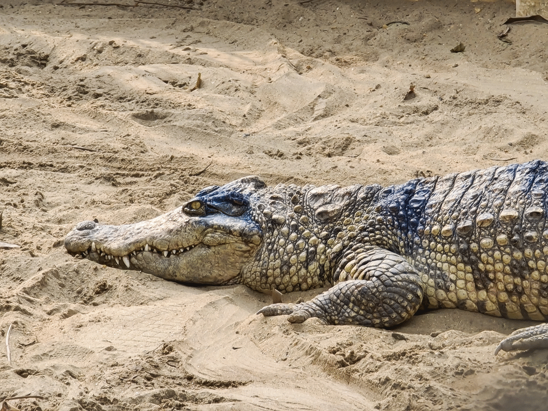 Đ&aacute;nh gi&aacute; chi tiết Samsung Galaxy S20 Ultra: C&acirc;u chuyện của những con số vượt giới hạn - Ảnh 27.