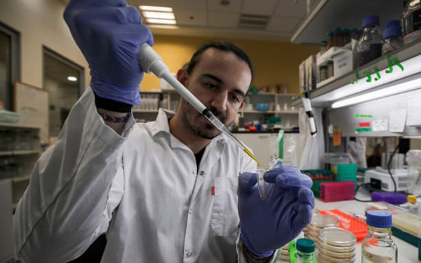 WHO: Đang thử nghiệm hơn 20 loại vắc-xin khác nhau cho virus corona - Ảnh 1. WHO: Đang thử nghiệm hơn 20 loại vắc-xin khác nhau cho virus corona - Ảnh 1.