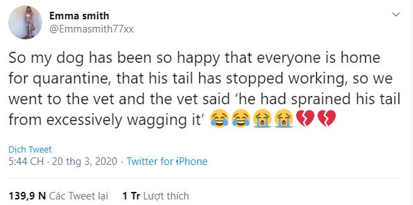 Thấy chủ l&uacute;c n&agrave;o cũng ở nh&agrave; v&igrave; Covid-19, ch&uacute; ch&oacute; mừng qu&aacute; vẫy đu&ocirc;i li&ecirc;n tục đến nỗi bong cả g&acirc;n - Ảnh 1.