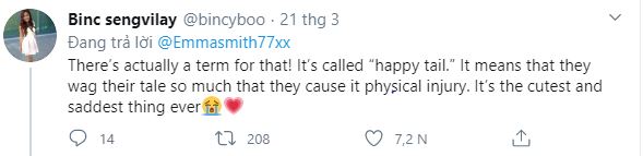 Thấy chủ l&uacute;c n&agrave;o cũng ở nh&agrave; v&igrave; Covid-19, ch&uacute; ch&oacute; mừng qu&aacute; vẫy đu&ocirc;i li&ecirc;n tục đến nỗi bong cả g&acirc;n - Ảnh 5.