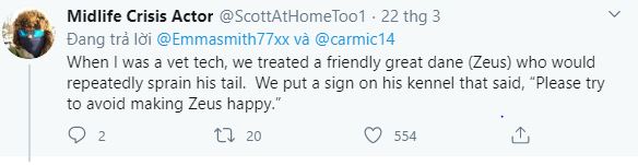 Thấy chủ l&uacute;c n&agrave;o cũng ở nh&agrave; v&igrave; Covid-19, ch&uacute; ch&oacute; mừng qu&aacute; vẫy đu&ocirc;i li&ecirc;n tục đến nỗi bong cả g&acirc;n - Ảnh 7.