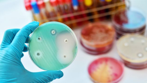 Mạng thần kinh nh&acirc;n tạo t&igrave;m ra kh&aacute;ng sinh ti&ecirc;u diệt được loại vi khuẩn mọi thuốc kh&aacute;c phải b&oacute; tay, đặt ra th&ecirc;m c&acirc;u hỏi kh&oacute; cho khoa học - Ảnh 3.