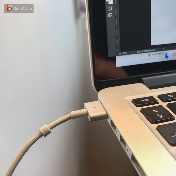 Ở nh&agrave; cũng phải đẹp: B&iacute; k&iacute;p xuất hiện rực rỡ khi họp online - Ảnh 3.