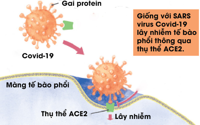 Chụp được ảnh virus Covid-19 ở độ ph&acirc;n giải nguy&ecirc;n tử, c&aacute;c nh&agrave; khoa học kh&aacute;m ph&aacute; ra bản chất l&acirc;y nhiễm h&oacute;a học của n&oacute; - Ảnh 3.