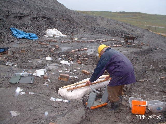 Leedsichthys: Máy hút bụi của biển cả Kỷ Jura từng bị hiểu nhầm là khủng long - Ảnh 5. Leedsichthys: Máy hút bụi của biển cả Kỷ Jura từng bị hiểu nhầm là khủng long - Ảnh 5.