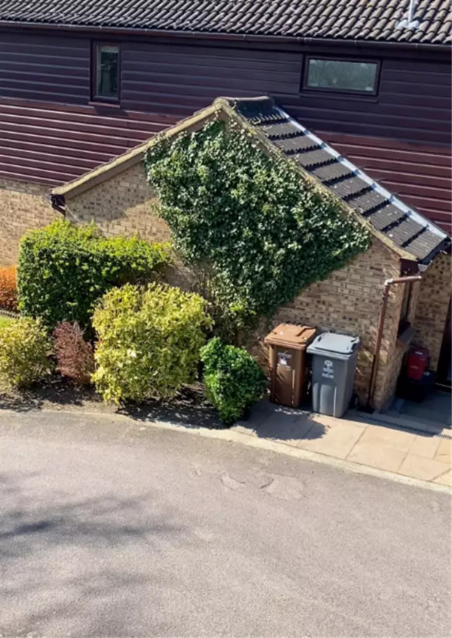 Ở nhà cách ly chán quá, ông anh cosplay thành... bụi cây để trốn ra ngoài chơi - Ảnh 2. Ở nhà cách ly chán quá, ông anh cosplay thành... bụi cây để trốn ra ngoài chơi - Ảnh 2.