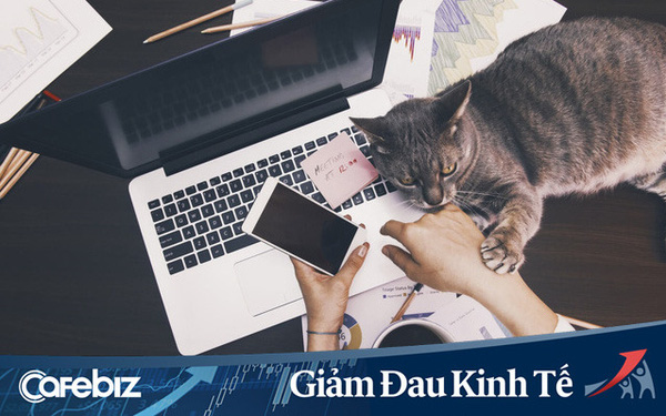 B&iacute; quyết l&agrave;m việc online m&ugrave;a dịch kh&ocirc;ng quạo: T&ocirc;i đ&atilde; l&agrave;m việc tại nh&agrave; suốt 10 năm v&agrave; đ&acirc;y l&agrave; những điều gi&uacute;p t&ocirc;i th&agrave;nh c&ocirc;ng trong c&ocirc;ng việc - Ảnh 1.