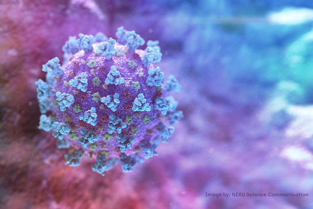 Ph&aacute;t hiện bất ngờ gi&uacute;p cảnh b&aacute;o sớm dịch Covid-19 trong cộng đồng - Ảnh 1.