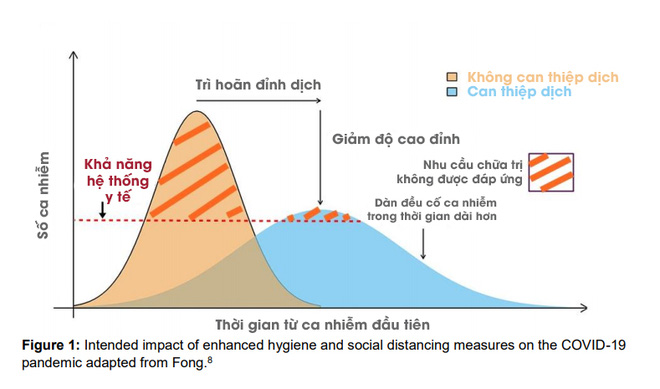 Video: Cách ly xã hội có ích như thế nào trước dịch bệnh, khi nào chúng ta có thể quay lại cuộc sống bình thường? - Ảnh 2. Video: Cách ly xã hội có ích như thế nào trước dịch bệnh, khi nào chúng ta có thể quay lại cuộc sống bình thường? - Ảnh 2.