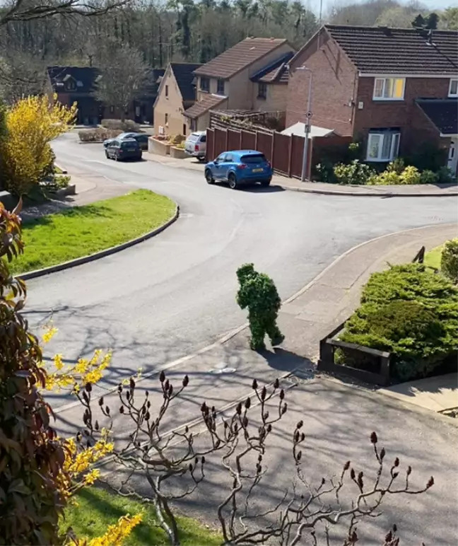 Ở nhà cách ly chán quá, ông anh cosplay thành... bụi cây để trốn ra ngoài chơi - Ảnh 4. Ở nhà cách ly chán quá, ông anh cosplay thành... bụi cây để trốn ra ngoài chơi - Ảnh 4.