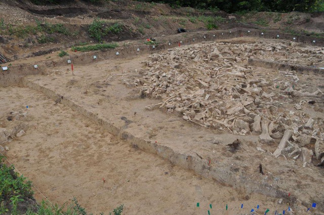 Người tiền sử x&acirc;y nh&agrave; sống qua Kỷ băng h&agrave; từ xương qu&aacute;i th&uacute; khổng lồ đ&atilde; bị tuyệt chủng? - Ảnh 1.