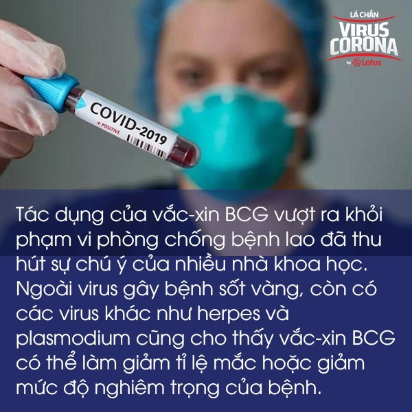 Bác sĩ BV Đa khoa Xanh Pôn: Vắc-xin phòng lao liệu có ngăn ngừa được virus SARS-CoV-2? - Ảnh 4. Bác sĩ BV Đa khoa Xanh Pôn: Vắc-xin phòng lao liệu có ngăn ngừa được virus SARS-CoV-2? - Ảnh 4.