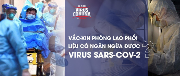 Bác sĩ BV Đa khoa Xanh Pôn: Vắc-xin phòng lao liệu có ngăn ngừa được virus SARS-CoV-2? - Ảnh 1. Bác sĩ BV Đa khoa Xanh Pôn: Vắc-xin phòng lao liệu có ngăn ngừa được virus SARS-CoV-2? - Ảnh 1.