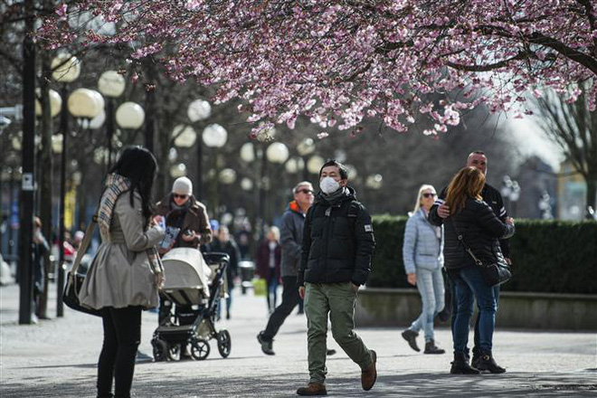  Chiến lược chống dịch một m&igrave;nh một kiểu của Thuỵ Điển - Ảnh 2.