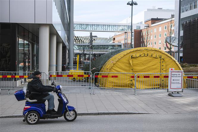  Chiến lược chống dịch một m&igrave;nh một kiểu của Thuỵ Điển - Ảnh 4.