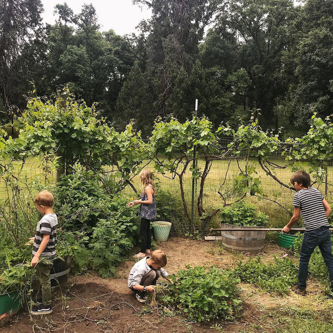 B&aacute;n nh&agrave; ở phố về trang trại sống, cặp vợ chồng t&aacute;o bạo biến căn nh&agrave; cũ tr&ocirc;ng như hầm chứa th&agrave;nh kh&ocirc;ng gian đẹp hệt ảnh tạp ch&iacute; - Ảnh 20.