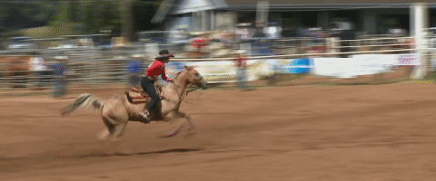 Vì sự ảnh hưởng của con người, một số động vật thậm chí đã bắt đầu đảo ngược quá trình tiến hóa - Ảnh 16. Vì sự ảnh hưởng của con người, một số động vật thậm chí đã bắt đầu đảo ngược quá trình tiến hóa - Ảnh 16.