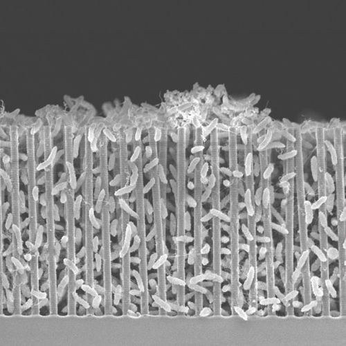 Đây là cách con người có thể xây dựng sự sống từ con số không trên Sao Hỏa - Ảnh 1. Đây là cách con người có thể xây dựng sự sống từ con số không trên Sao Hỏa - Ảnh 1.