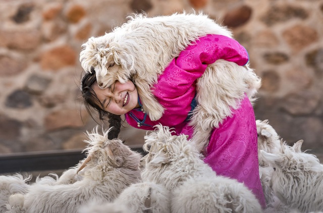  L&aacute;i xe đi khắp hoang mạc t&igrave;m s&oacute;ng wifi cho con g&aacute;i học trực tuyến trong những ng&agrave;y dịch Covid-19: V&igrave; con, cha mẹ sẽ l&agrave;m tất cả!  - Ảnh 7.