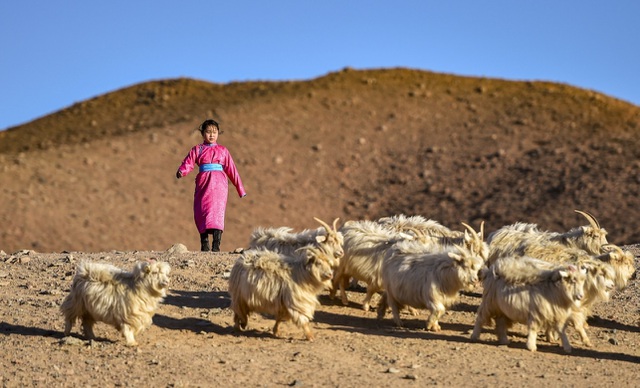  L&aacute;i xe đi khắp hoang mạc t&igrave;m s&oacute;ng wifi cho con g&aacute;i học trực tuyến trong những ng&agrave;y dịch Covid-19: V&igrave; con, cha mẹ sẽ l&agrave;m tất cả!  - Ảnh 8.