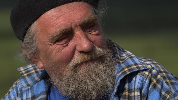 Nghi&ecirc;n cứu mới: Cứ thả động vật ăn cỏ chạy quanh Bắc Cực, ta sẽ cứu được băng vĩnh cửu v&agrave; hạn chế biến đổi kh&iacute; hậu - Ảnh 2.