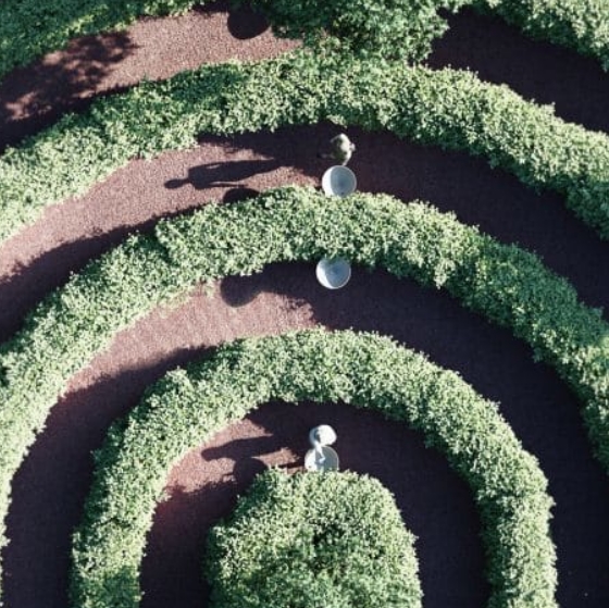 Bạn có thể thoải mái dạo quanh công viên mê cung ngay giữa đô thị này mà không lo virus corona - Ảnh 5. Bạn có thể thoải mái dạo quanh công viên mê cung ngay giữa đô thị này mà không lo virus corona - Ảnh 5.