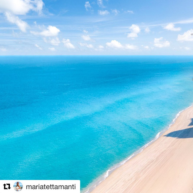 Nh&igrave;n những bức ảnh n&agrave;y, bạn sẽ kh&ocirc;ng tin Tr&aacute;i Đất lại hồi sinh mạnh mẽ trong l&uacute;c dịch bệnh Covid-19 như vậy: Điều kỳ diệu hiếm hoi!  - Ảnh 14.