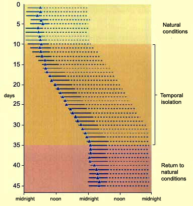 Tại sao khi hết c&aacute;ch ly x&atilde; hội, nhiều người lại bị loạn thứ, ng&agrave;y, th&aacute;ng? - Ảnh 5.