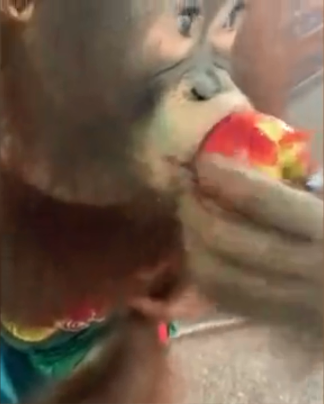 L&eacute;n v&agrave;o sở th&uacute; vắng người ở Th&aacute;i Lan trong dịch Covid-19, Youtuber gốc Việt bị bắt nhưng mục đ&iacute;ch thật sự được nhiều người ủng hộ - Ảnh 2.