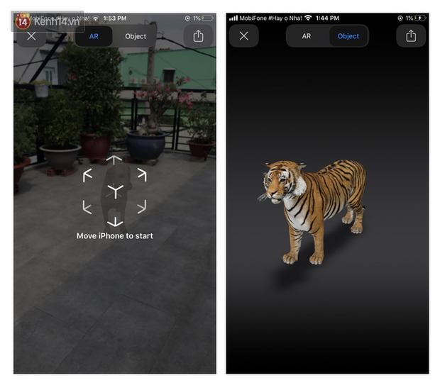 Cư d&acirc;n mạng ph&aacute;t cuồng với tr&ograve; ngắm ngh&iacute;a pet ảo của Google: Nằm nh&agrave; chơi c&ugrave;ng hổ, b&aacute;o v&agrave; b&eacute; Na dễ như bỡn - Ảnh 2.