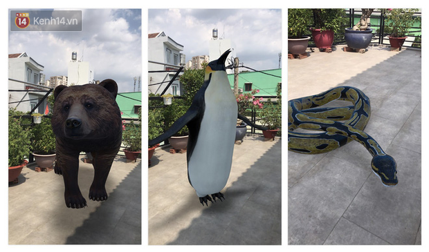 Cư d&acirc;n mạng ph&aacute;t cuồng với tr&ograve; ngắm ngh&iacute;a pet ảo của Google: Nằm nh&agrave; chơi c&ugrave;ng hổ, b&aacute;o v&agrave; b&eacute; Na dễ như bỡn - Ảnh 3.