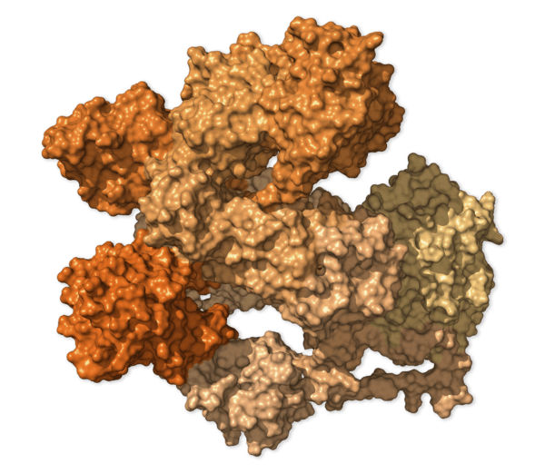 Chi tiết bộ gen SARS-CoV-2: Những t&ecirc;n khủng bố chiếm dụng tế b&agrave;o phổi người - Ảnh 10.