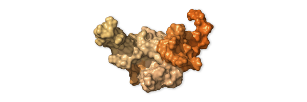 Chi tiết bộ gen SARS-CoV-2: Những t&ecirc;n khủng bố chiếm dụng tế b&agrave;o phổi người - Ảnh 23.