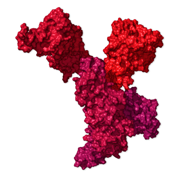 Chi tiết bộ gen SARS-CoV-2: Những t&ecirc;n khủng bố chiếm dụng tế b&agrave;o phổi người - Ảnh 36.