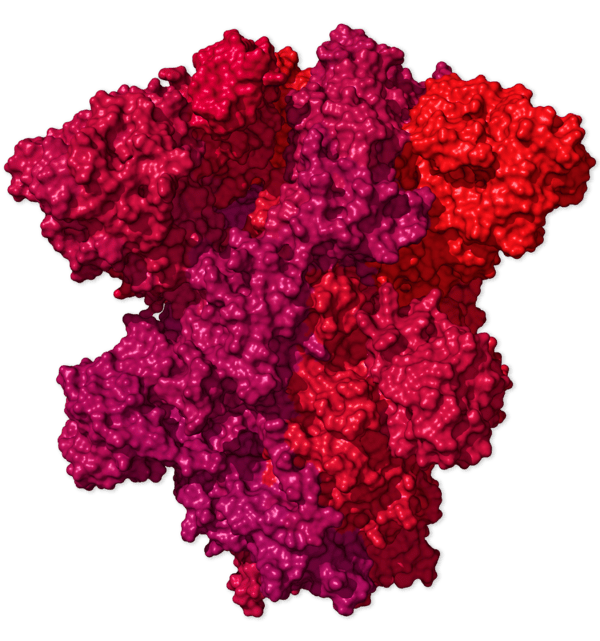 Chi tiết bộ gen SARS-CoV-2: Những t&ecirc;n khủng bố chiếm dụng tế b&agrave;o phổi người - Ảnh 37.