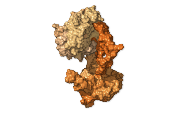 Chi tiết bộ gen SARS-CoV-2: Những t&ecirc;n khủng bố chiếm dụng tế b&agrave;o phổi người - Ảnh 52.