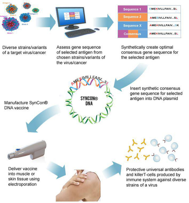 Một trong 7 loại vắc-xin COVID-19 nhận tài trợ từ Bill Gates sẽ được thử nghiệm lâm sàng trên người đầu tiên trong hôm nay - Ảnh 3. Một trong 7 loại vắc-xin COVID-19 nhận tài trợ từ Bill Gates sẽ được thử nghiệm lâm sàng trên người đầu tiên trong hôm nay - Ảnh 3.