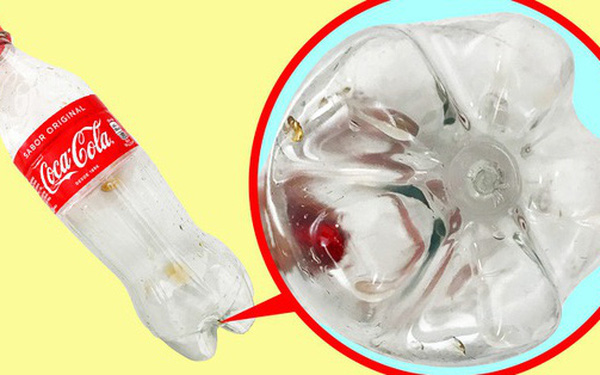  Uống nước ngọt c&oacute; ga bao năm nay, bạn c&oacute; thắc mắc v&igrave; sao chai nhựa lu&ocirc;n c&oacute; phần đ&aacute;y chẳng bao giờ bằng phẳng kh&ocirc;ng?  - Ảnh 1.