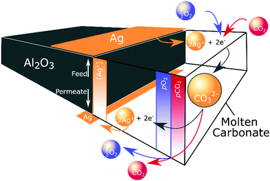 M&agrave;ng lọc thu giữ kh&iacute; CO2: &Yacute; tưởng đột ph&aacute; tiến tới nền c&ocirc;ng nghiệp hậu carbon - Ảnh 2.