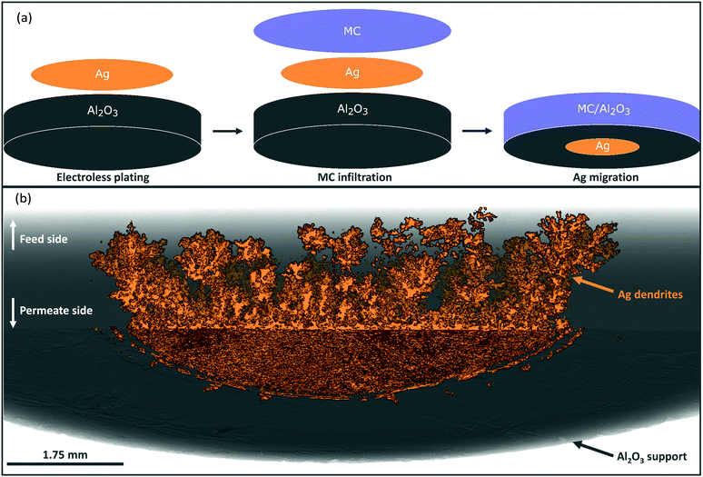 M&agrave;ng lọc thu giữ kh&iacute; CO2: &Yacute; tưởng đột ph&aacute; tiến tới nền c&ocirc;ng nghiệp hậu carbon - Ảnh 4.