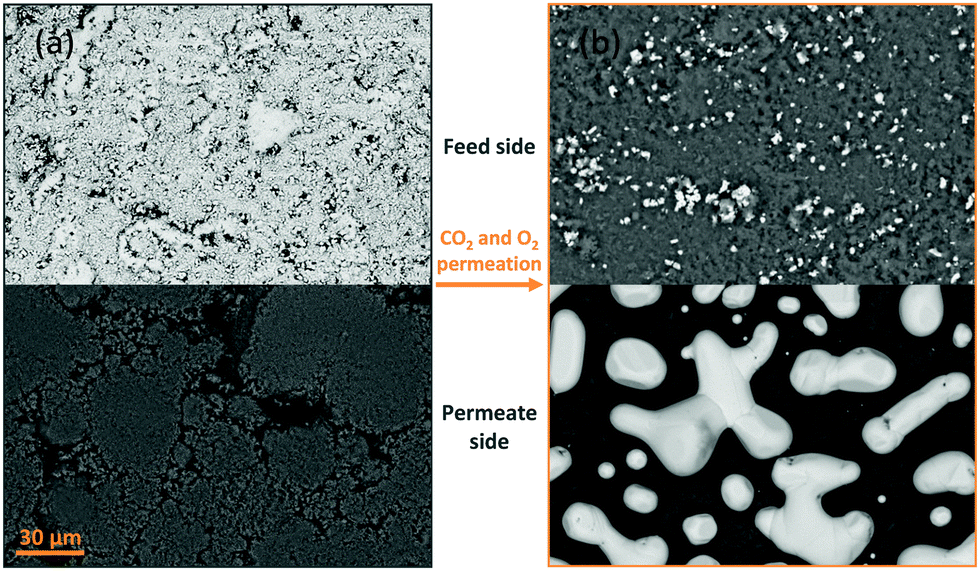 M&agrave;ng lọc thu giữ kh&iacute; CO2: &Yacute; tưởng đột ph&aacute; tiến tới nền c&ocirc;ng nghiệp hậu carbon - Ảnh 1.