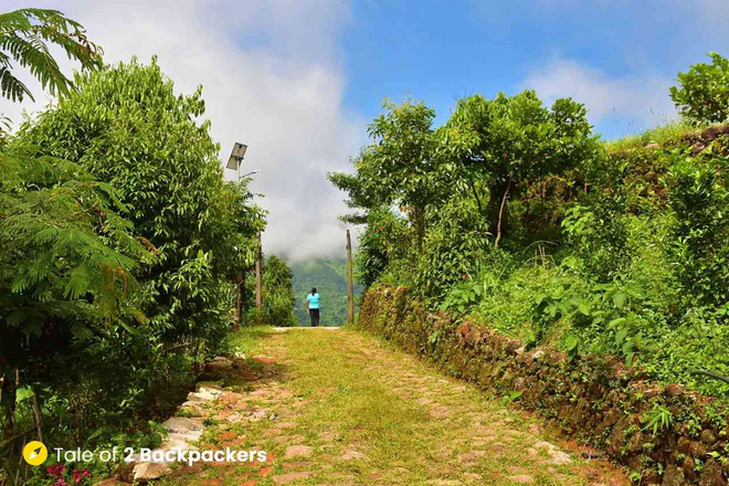 Ng&ocirc;i l&agrave;ng hu&yacute;t s&aacute;o kỳ lạ: D&acirc;n l&agrave;ng chẳng ai c&oacute; t&ecirc;n, gọi nhau bằng một những giai điệu ri&ecirc;ng d&agrave;i cả ph&uacute;t v&agrave; l&yacute; do khiến ai cũng phải bất ngờ - Ảnh 5.