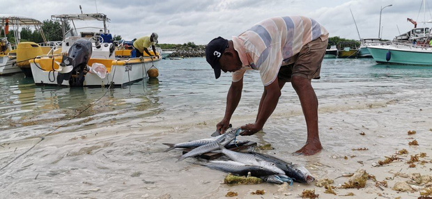 Mắc kẹt ở thi&ecirc;n đường biển đảo giữa lệnh phong tỏa, gia đ&igrave;nh bỗng trở th&agrave;nh travel blogger bất đắc dĩ v&agrave; thu h&uacute;t h&agrave;ng trăm triệu lượt xem tr&ecirc;n MXH  - Ảnh 8.