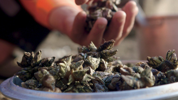  Nghề đ&aacute;nh bắt &ldquo;ng&oacute;n tay quỷ&rdquo;: C&ocirc;ng việc kh&ocirc;ng d&agrave;nh cho người yếu tim, để c&oacute; được m&oacute;n hải sản qu&yacute; gi&aacute; bậc nhất phải mạo hiểm cả t&iacute;nh mạng  - Ảnh 1.