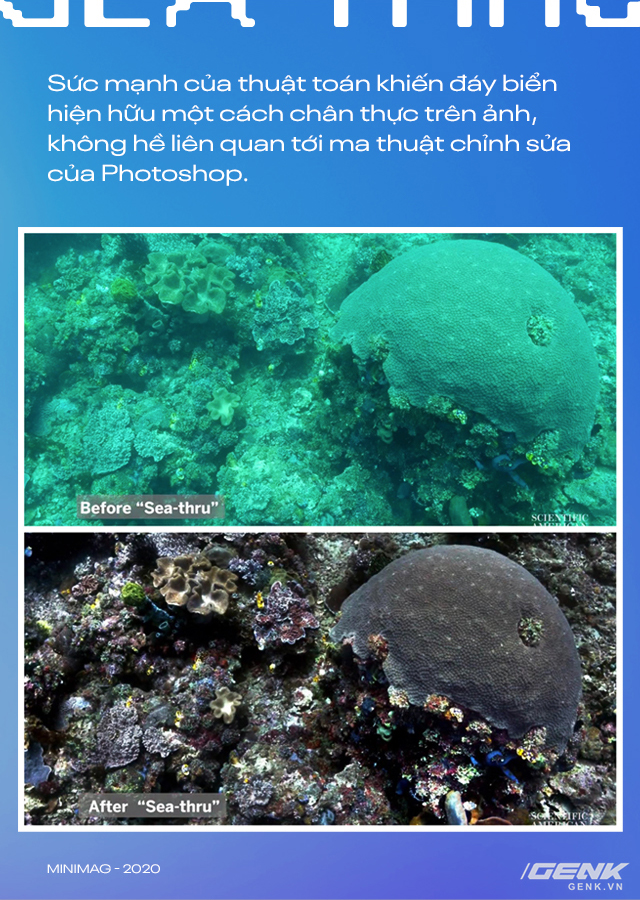 Bỏ ng&agrave;nh h&agrave;ng kh&ocirc;ng vũ trụ để theo đuổi nghiệp hải dương học, c&ocirc; chuy&ecirc;n gia ph&aacute;t triển thuật to&aacute;n sửa ảnh vượt mặt Photoshop - Ảnh 4.